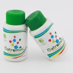 Gatromin capsules