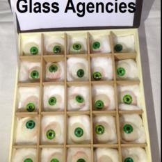 Green Prosthetic Eye ( Box of 25 Pieces )