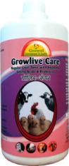 Cattle & Poultry Liver Care Tonic with Vitamins, Amino Acids, Probiotics, Liver Stimulants.