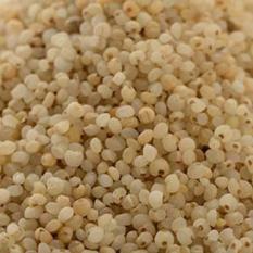 Himalayan Organic Jhangora - Barnyard Millet