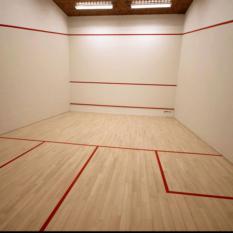 Squash Court Hard Plaster System