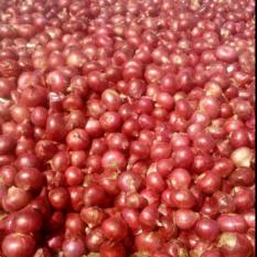 Red Onions
