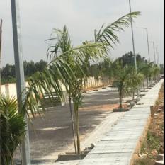 Tekton whitecounty villa plots near Whitefield 