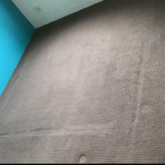Carpet cleaning sydney 