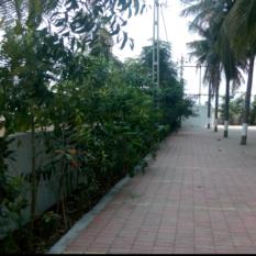 Society Foresting project