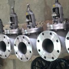 Globe Valves 