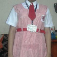 Junior Girls Uniform - Tunic with Blouse & Neck Tie