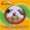 Growel Agrovet Private Limited