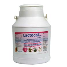 Lactocal Gel