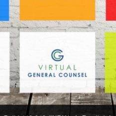 VIRTUAL INTELLIGENCE