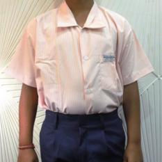 Boys Uniform - Creme Striped Half Shirt & Navy Blue Half Pant