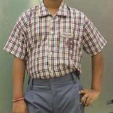Boys Uniform - Checked Half Shirt & Ash Trouser