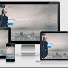 Wordpress CMS website Designing / Development