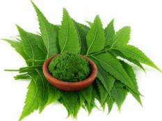 Neem Powder