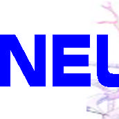 NEUROGLIA