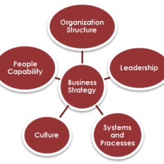 Enhancing Organizational Performance
