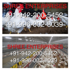 Poultry House and Poultry Equipments