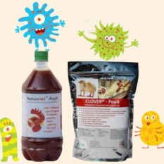 Poultry Feed Supplement - Clover Poult & NatureVel Poult