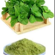 Pudina Chutney Powder