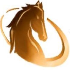 Recruitment Consultancy