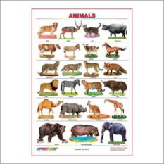 Animals Chart