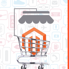 Magento Store Development 