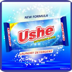 Ushe Detergent Cake