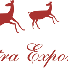 VICHITRA EXPORTS
