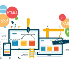 Web Application Development /Website