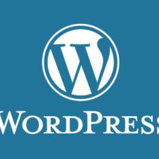 WordPress Development Services