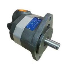 Yuci Gear Pump 