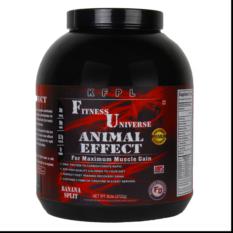 Fitness Universe Animal Effect