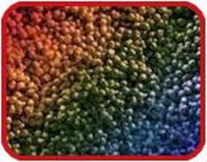 MONO COLOR MASTERBATCH