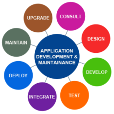 Customised Applications Development