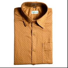 Mens Cotton Shirt, Slim Fit, Half Sleeves, Brown, Spark
