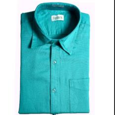 Mens Cotton Shirt, Slim Fit, Half Sleeves, Cyan, L, Spark