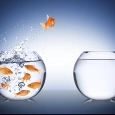 Training on CHANGE MANAGEMENT