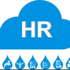 HR Cloud Platform ( HRIS )