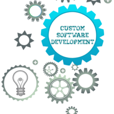Customized Software Development