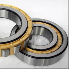 FAG BEARINGS