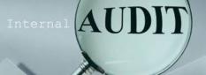 INTERNAL AUDIT SERVICES