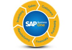 SAP Business One-ERP Package