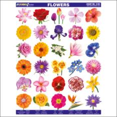 Double Premium Flowers Sticker Chart
