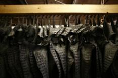 Salted Crocodile Skin