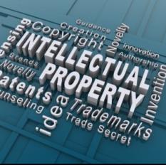 INTELLECTUAL PROPERTY SERVICES