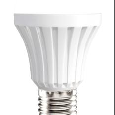 Led Bulb