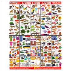 Double Premium Living & Non Living Sticker Chart