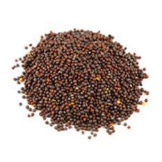 MUSTARD SEEDS