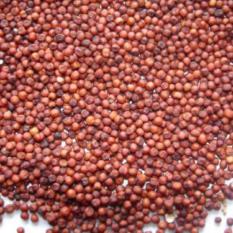 Ragi (Finger Millet)