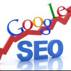 Search Engine Optimization Services
